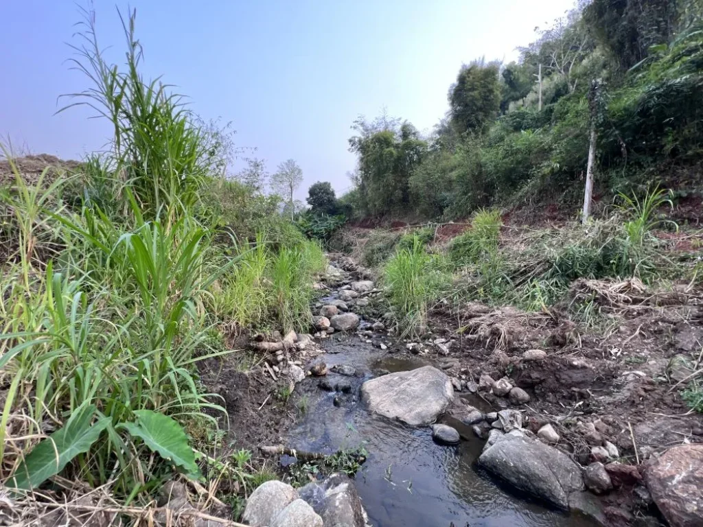 ขายที่ดินติดลำธาร สะเมิงเหนือ บ้านป้อก เชียงใหม่