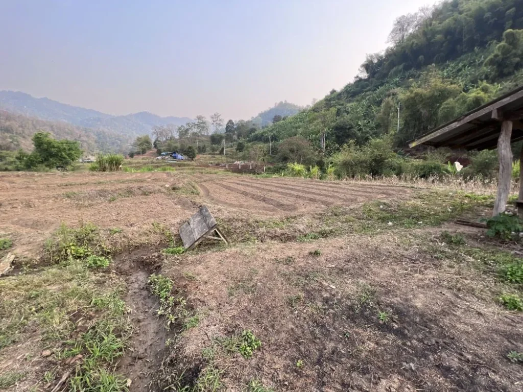 ขายที่ดินติดลำธาร สะเมิงเหนือ บ้านป้อก เชียงใหม่