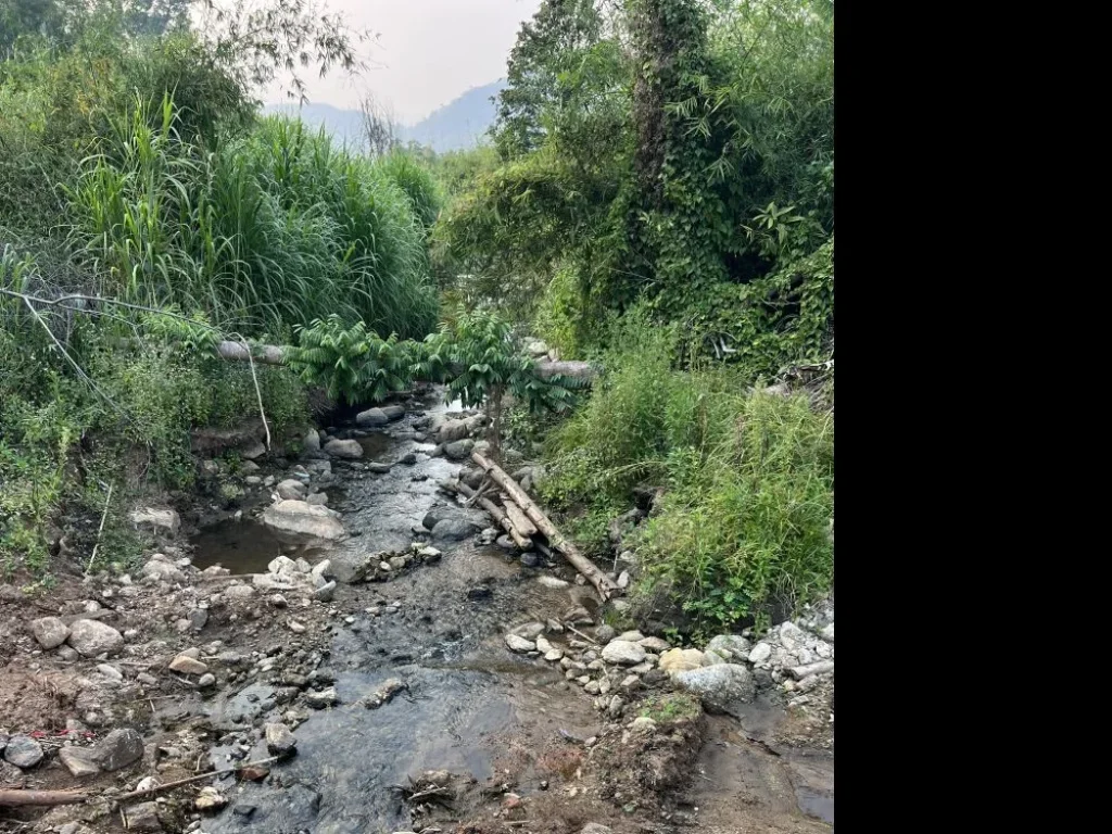 ขายที่ดินติดลำธาร สะเมิงเหนือ บ้านป้อก เชียงใหม่