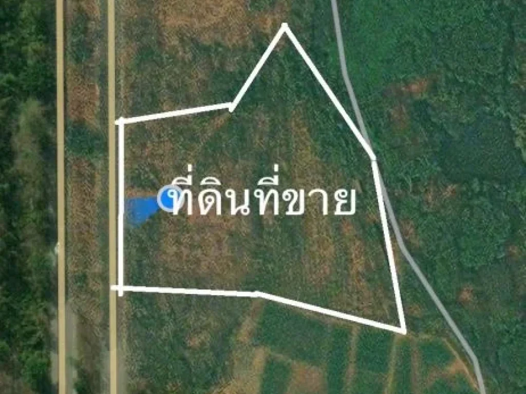 ขายที่ดินติดถนนใหญ่ จำนวน 4 ไร่ เป็นสวนไม้สักกับทุ่งนา