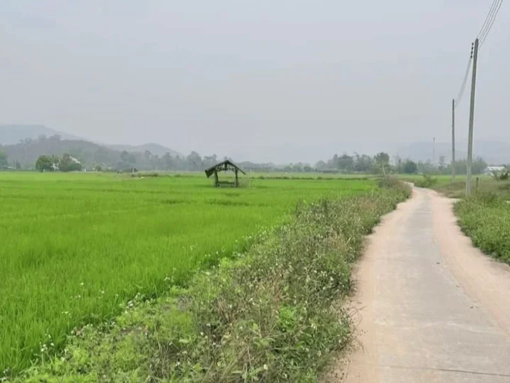 ขายที่นาบ้านห้วยทรายวิวท้องนาติดถนนคอนกรีตโฉนดพร้อมโอนราคาถู