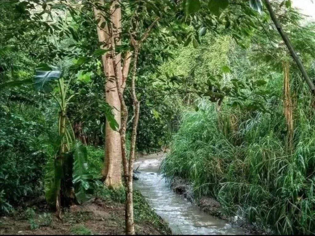 ที่ดินแปลงสวยเชิงดอยสุเทพ ติดคูเมืองเก่าแก่ที่สุดในเชียงใหม