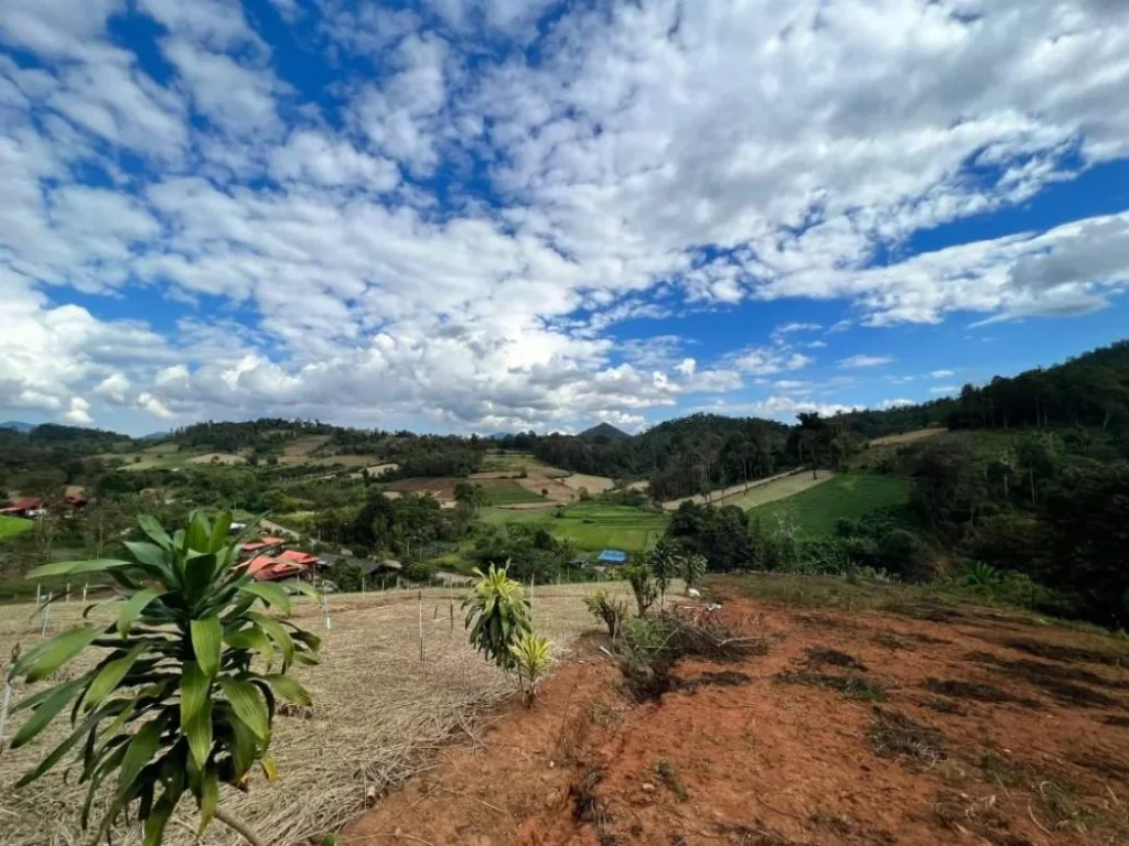 ขายที่ดิน สะเมิงเหนือ บ้านปางเติม เนินเขาวิว360องศา