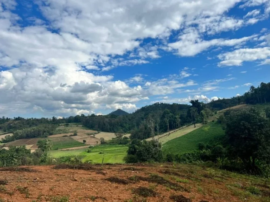 ขายที่ดิน สะเมิงเหนือ บ้านปางเติม เนินเขาวิว360องศา