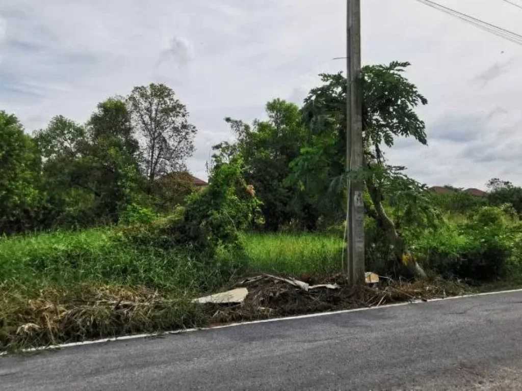 ขายที่ดินยังไม่ถมเจ้าของขายเองจังหวัดนนทบุรี อำเภอไทรน้อย