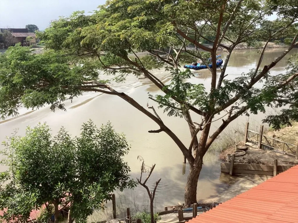 ขายบ้านเรือนไทยริมเจ้าพระยา 200 กว่าตรว รวมที่งอกเกือบไร่