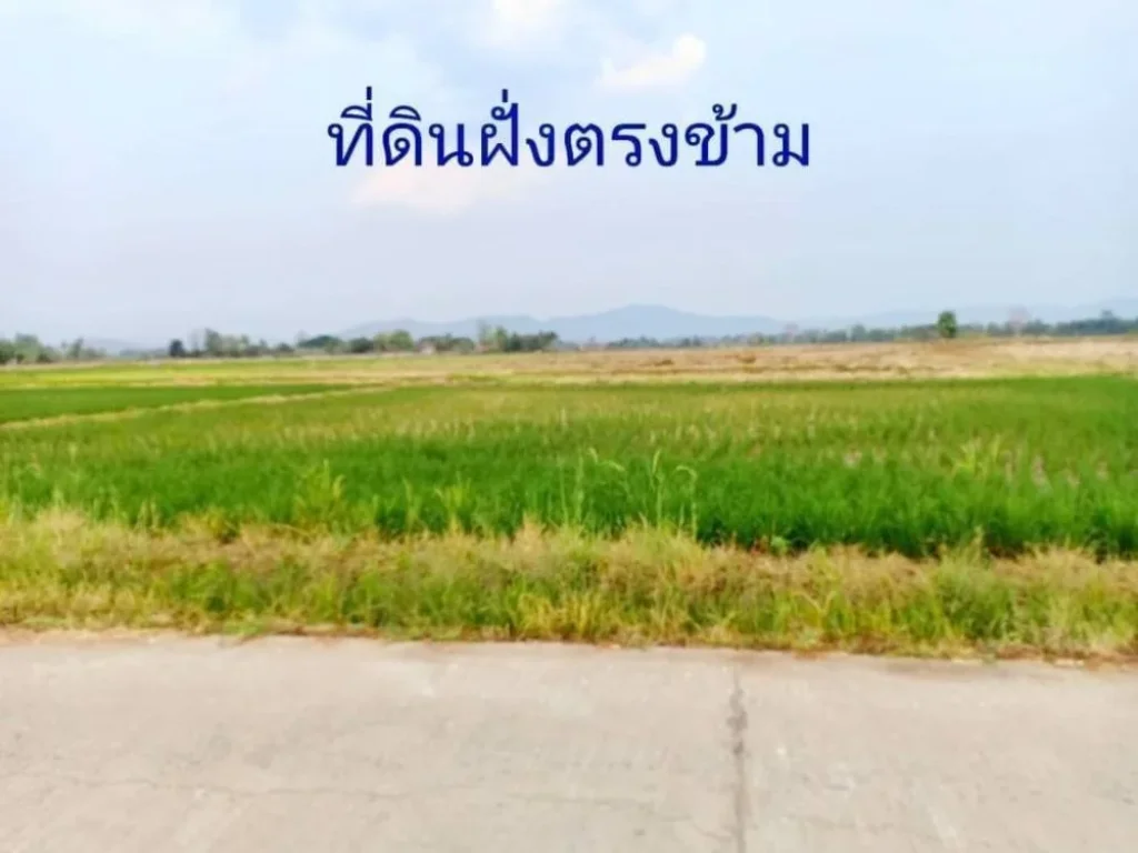 ขายที่ดิน 2-2-747 ไร่ อดอยสะเก็ด จังหวัดเชียงใหม่