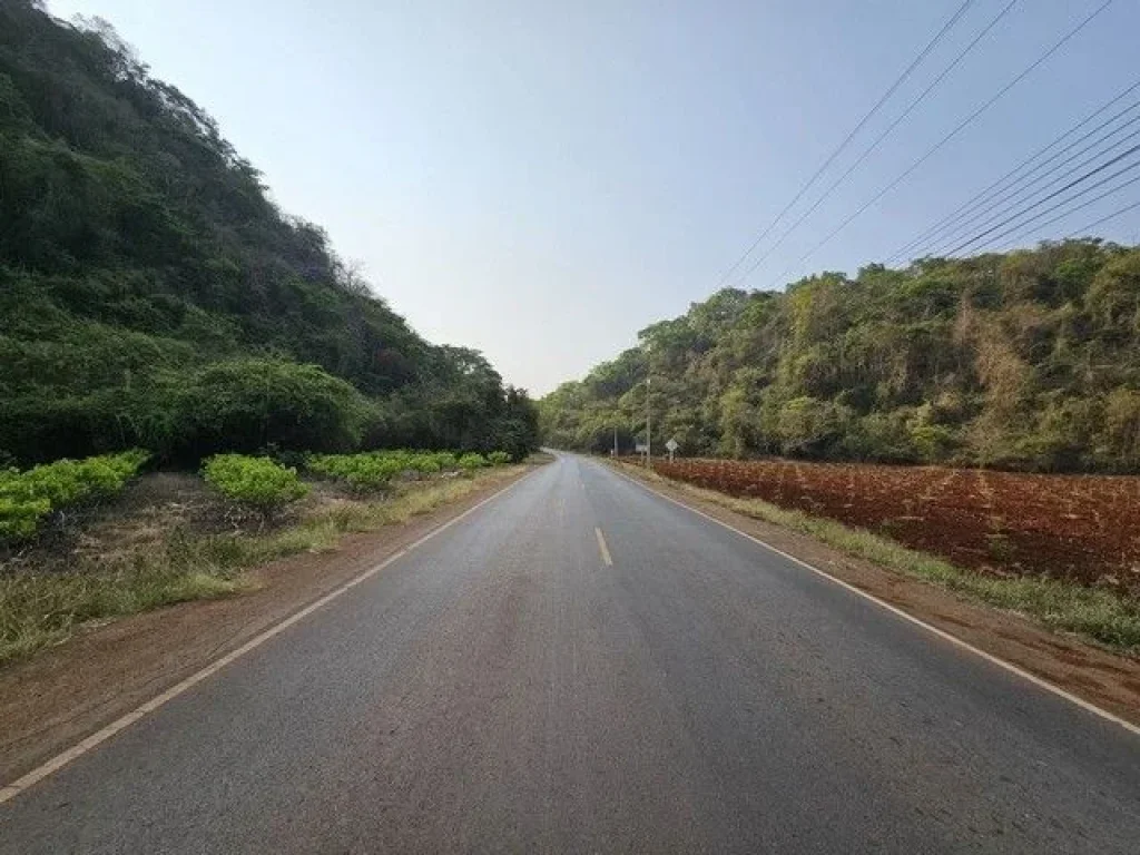 ขายที่ดินเขาใหญ่ ตคลองม่วง อปากช่อง ติดถนนลาดยาง