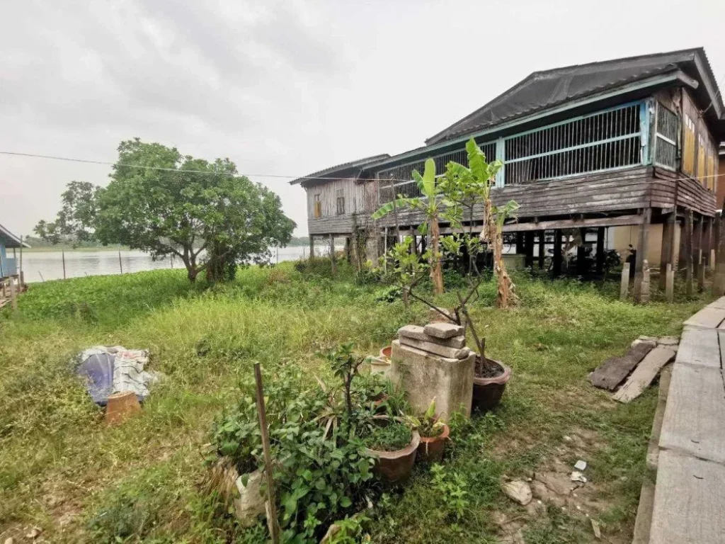 ขายที่ดินริมแม่น้ำเจ้าพระยา พร้อมบ้านไทย 3 หลัง 150 ตรว