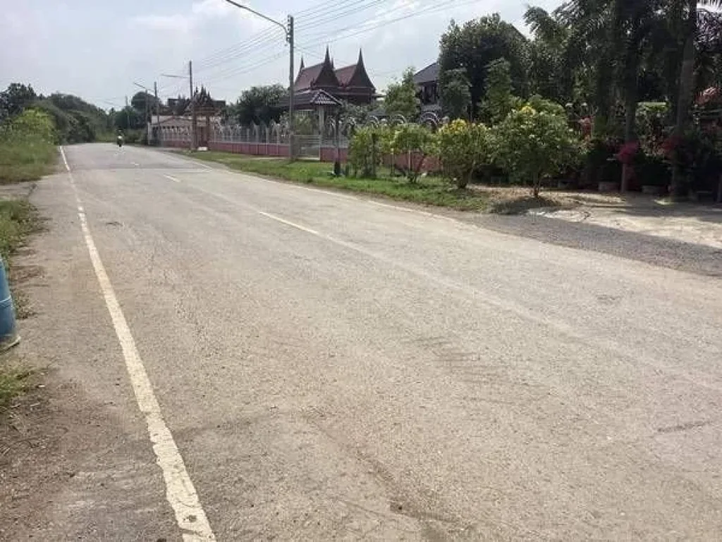 ขายบ้านเรือนไทยริมเจ้าพระยา 200 กว่าตรว รวมที่งอกเกือบไร่