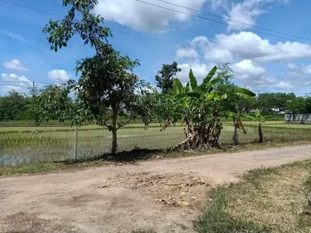 ขายที่ดินบ้านแหวนหางดงวิวท้องนาถมดินเรียบร้อยพร้อมโอน