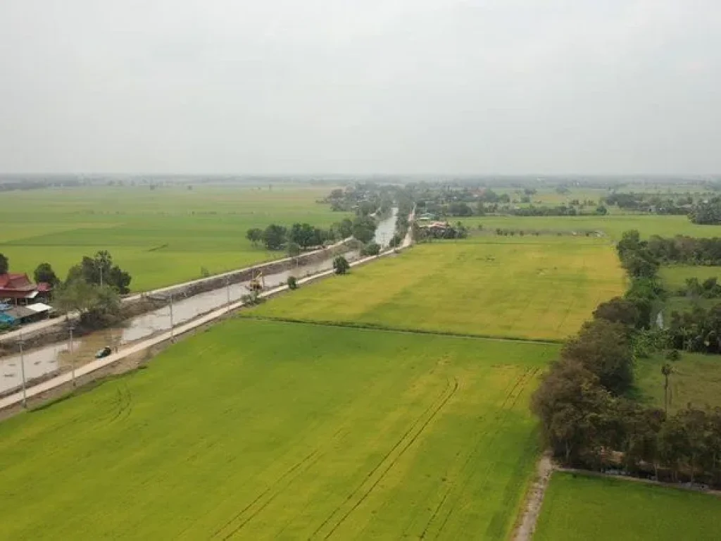 ขาย ที่ดิน ตำบลบ้านแถว อำเภอเสนา จพระนครศรีอยุธยา ติดคลอง