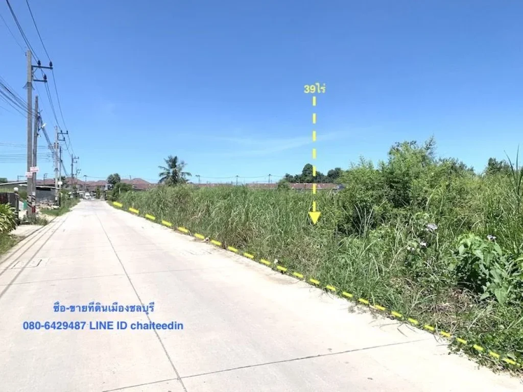 ขายที่ดิน 395ไร่ หรือ ให้เช่าระยะยาวที่ดินตำบลบึง ศรีราชา