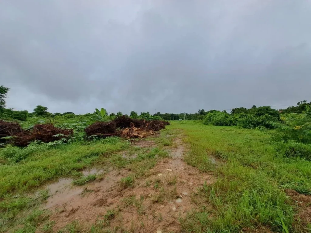 ขายที่ดินทำเลทองติดถนนใหญ่ อหางดง จเชียงใหม่ 