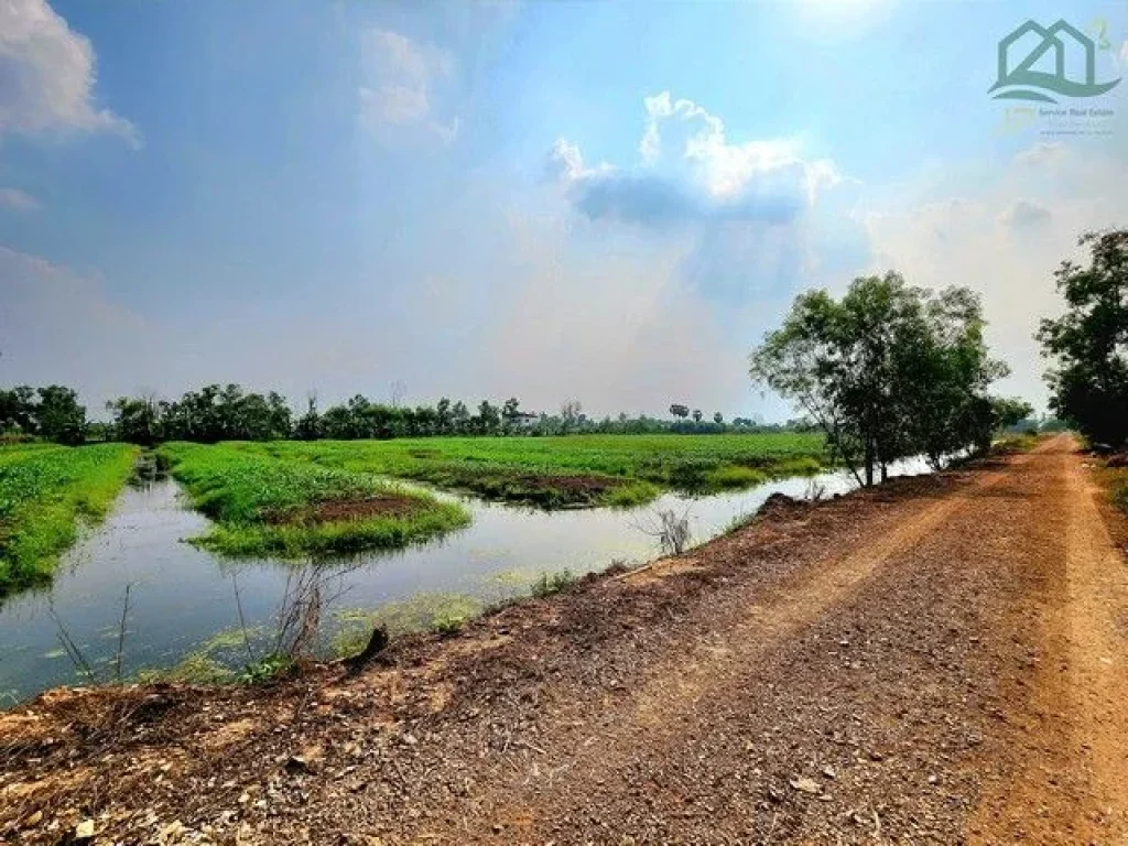 ขายที่ดินคลอง 11 หนองเสือ 10ไร่ เป็นร่องสวน ติดถนนลาดยาง