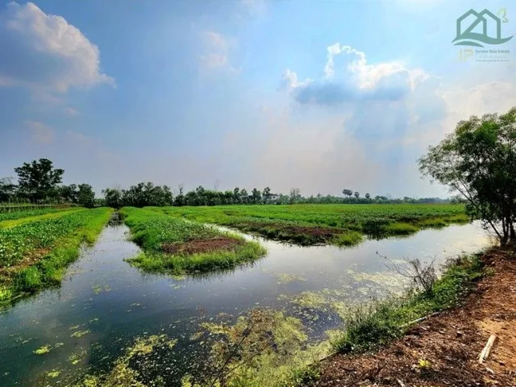 ขายที่ดินคลอง 11 หนองเสือ 10ไร่ เป็นร่องสวน ติดถนนลาดยาง