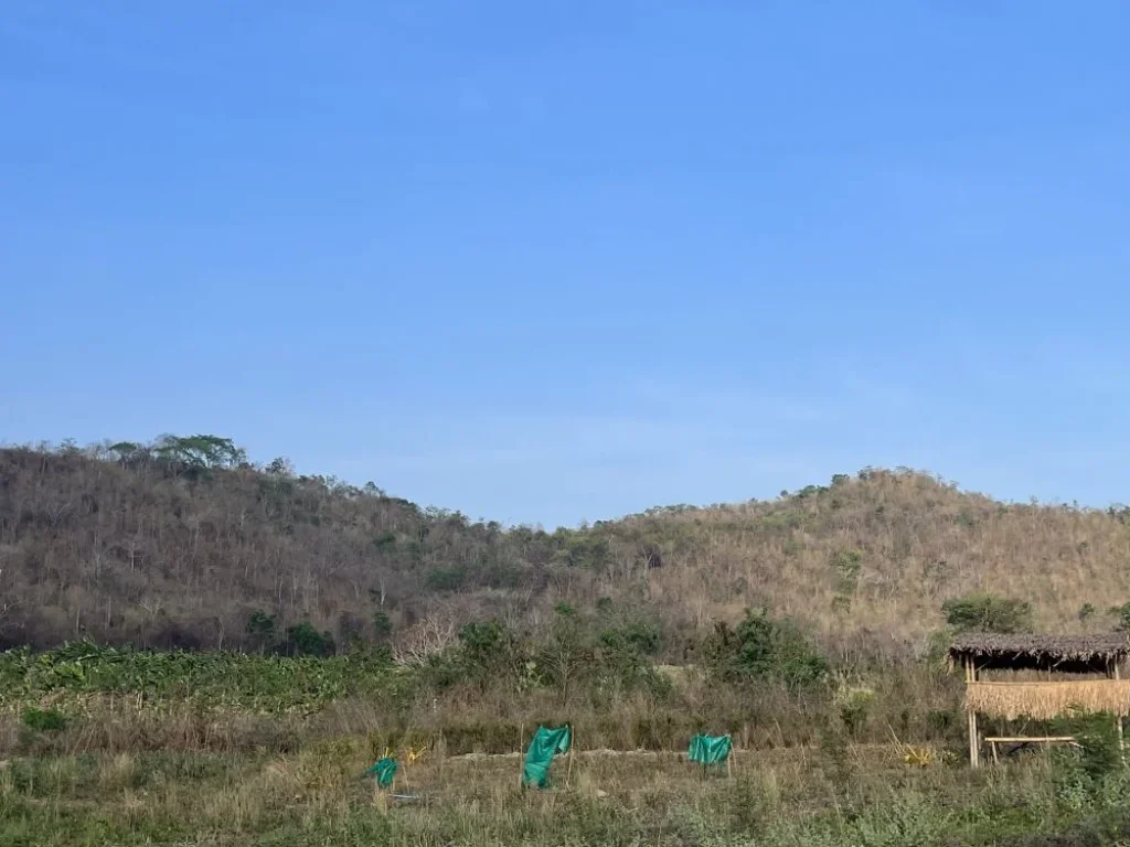 ที่ดิน ติดลำห้วย หลังพิงเขา เหมาะสำหรับนักลงทุนที่ต้องการเกร