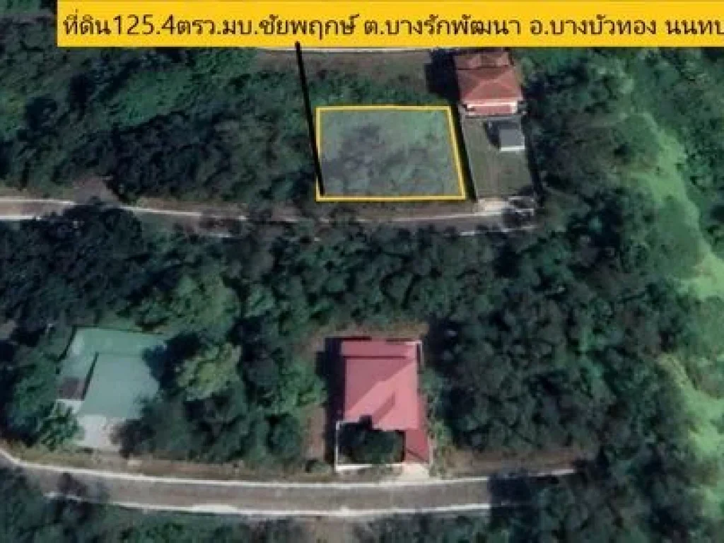 ขายที่ดินใน หมู่บ้านชัยพฤกษ์ ซ461 1254 ตรว 2 แปลง