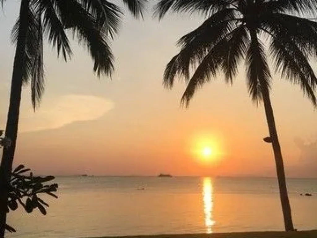 ขายบ้านพักตากอากาศ อเกาะสมุย Beach house for sale Koh Samui