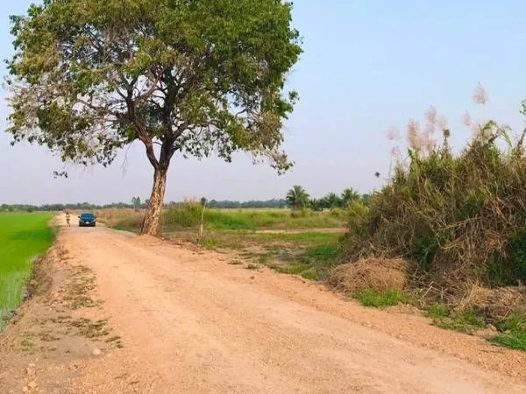 ขายที่ดินถมแล้ว คลองแปด หนองเสือ ฝั่งตะวันออก จปทุมธานี