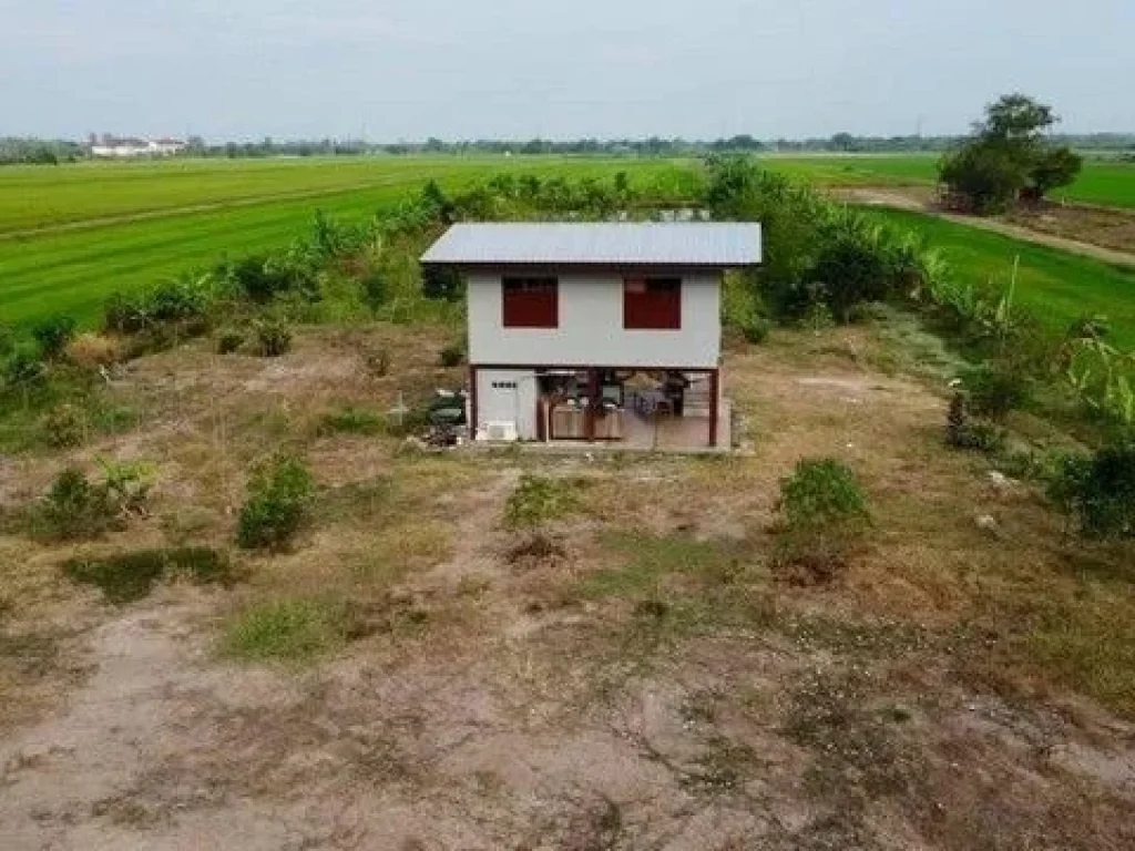 คลอง 9 บ้านพร้อมที่ดิน 5 ไร่ บรรยากาศธรรมชาติมีสวนและบ่อเลี้