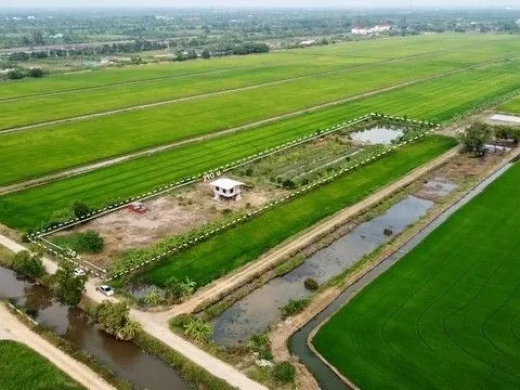 คลอง 9 บ้านพร้อมที่ดิน 5 ไร่ บรรยากาศธรรมชาติมีสวนและบ่อเลี้