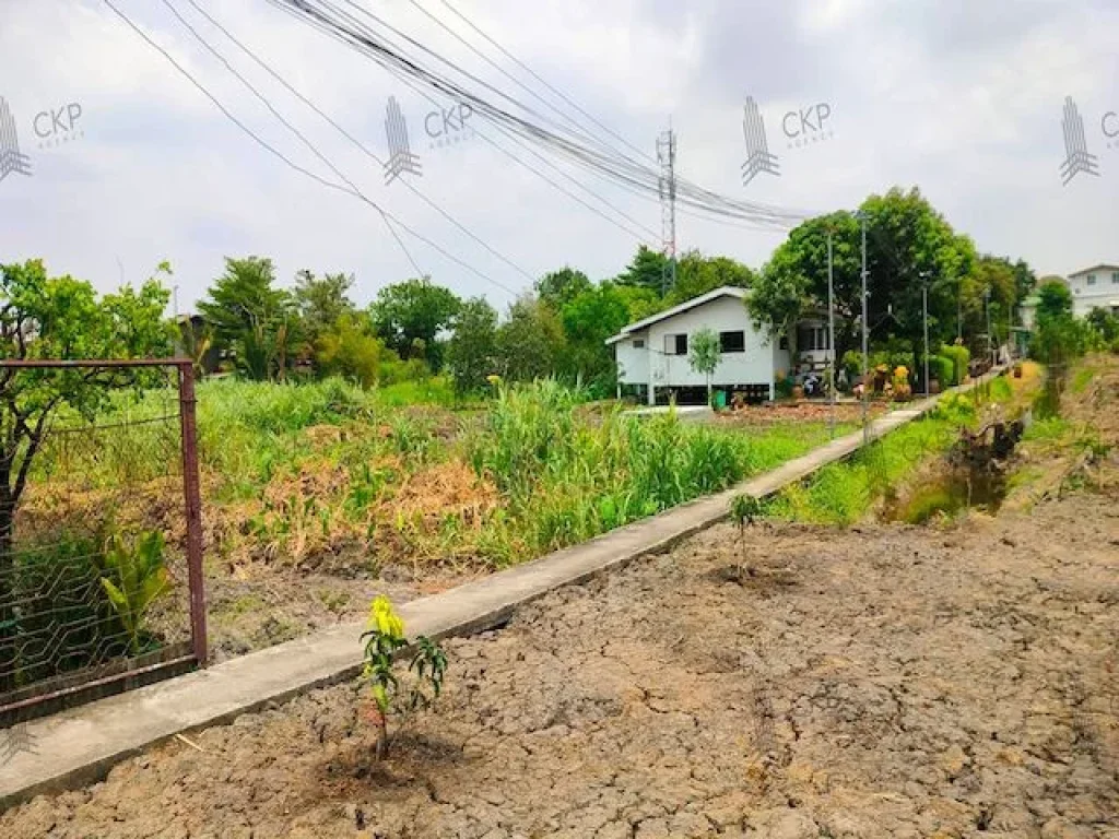 ขาย ที่ดินเปล่า 50 ตรว เหมาะสำหรับสร้างที่อยู่อาศัย