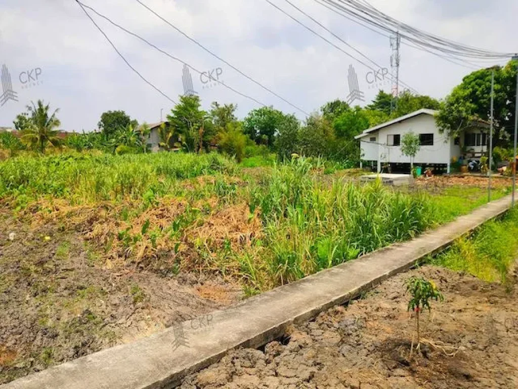 ขาย ที่ดินเปล่า 50 ตรว เหมาะสำหรับสร้างที่อยู่อาศัย