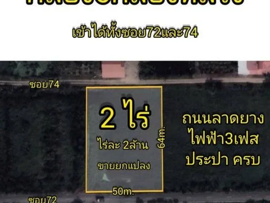 ที่ดินคลองหกตะวันออก72 ติดถนน3ด้าน 2 ไร่ ไร่ละ2ล้านฟรีโอน