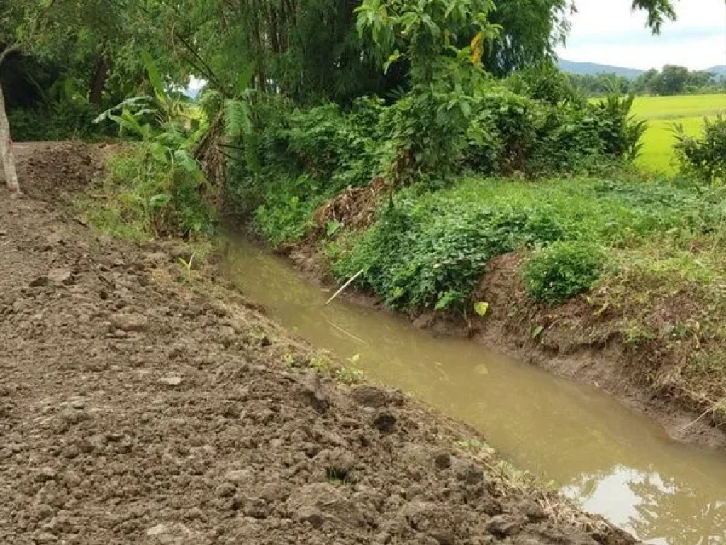 ที่ดินสวย วิวเขานางนอน ขาย ที่ดิน 1 ไร่ บ้านด้าย เชียงแสน