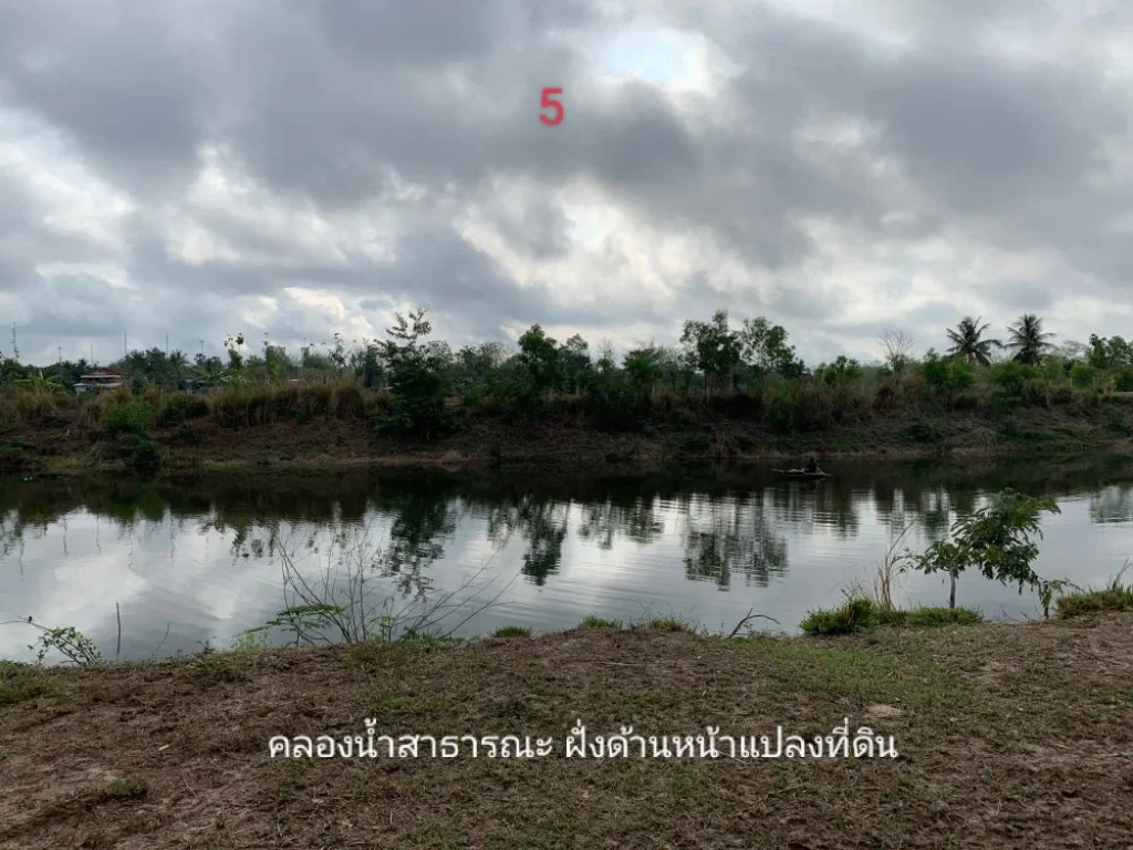 ขายที่ดินสวย ติดคลองน้ำ 1248 ตรว บ้านนาพู่ อเพ็ญ