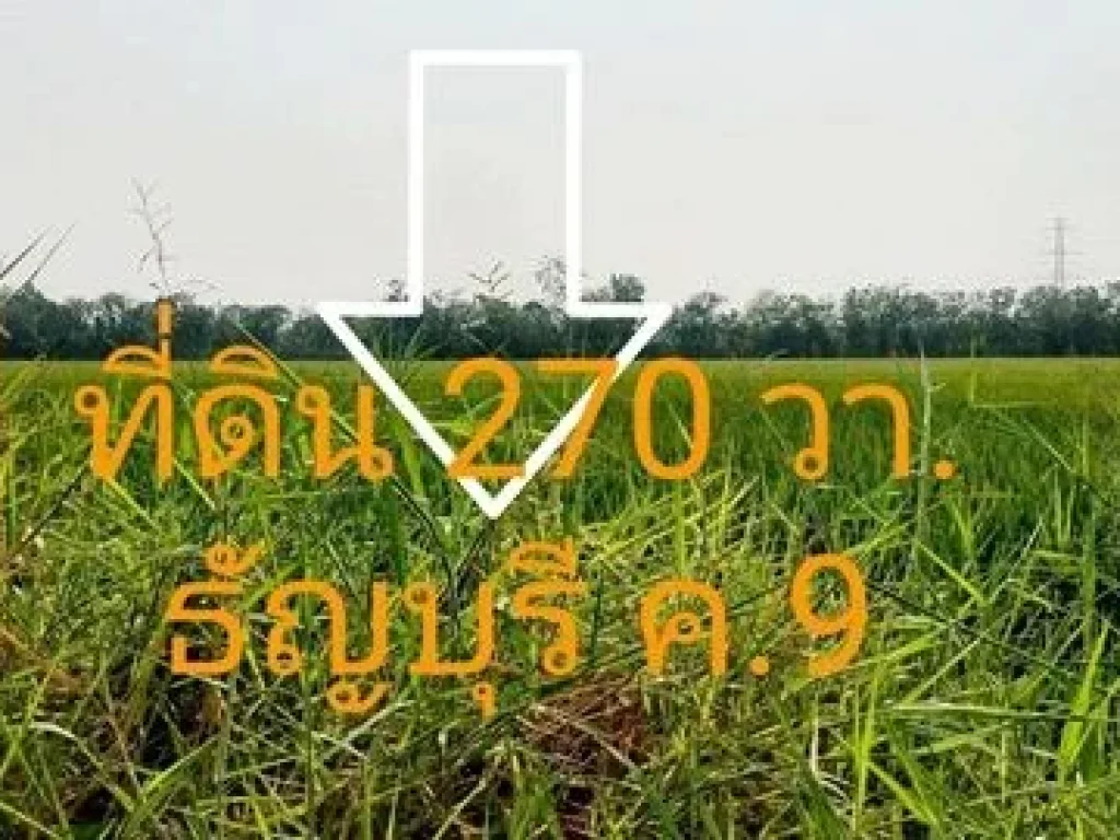 ขายที่ดิน 270 ตรวรังสิต-ธัญบุรี คลอง 9 ใกล้โลตัสบิ๊กซี