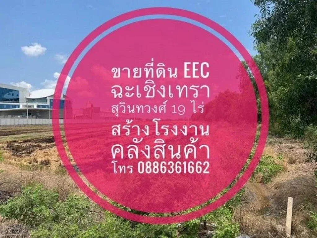 For Sale Land EEC in ChachoengsaoThailand ขายที่ดิน