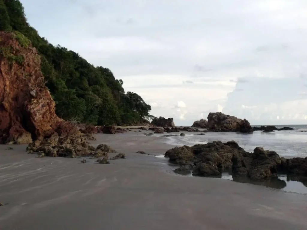 ขายที่ดินติดหาดเกาะลันตา กระบี่ติดหาดทราย