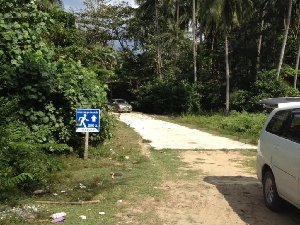 ขายที่ดินติดหาดเกาะลันตา กระบี่ติดหาดทราย