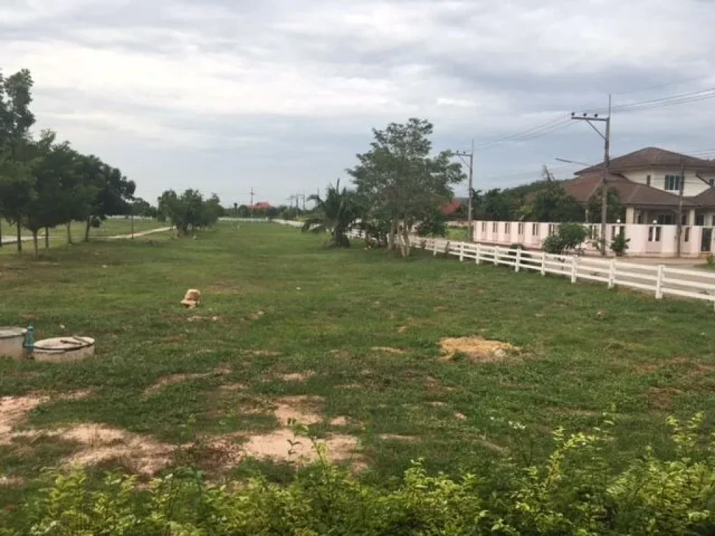 ขายที่ดินในโครงการสงขลาธานี หาดใหญ่ 3 แปลงติดกันรวม 270