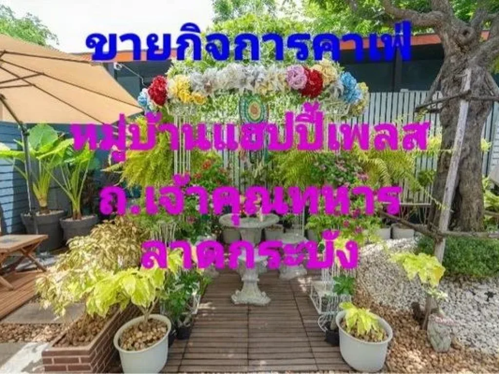 ขายกิจการคาเฟ่ พร้อมโรงเรือนสไตล์นอร์ดิก เนื้อที่ 120 ตารางวา