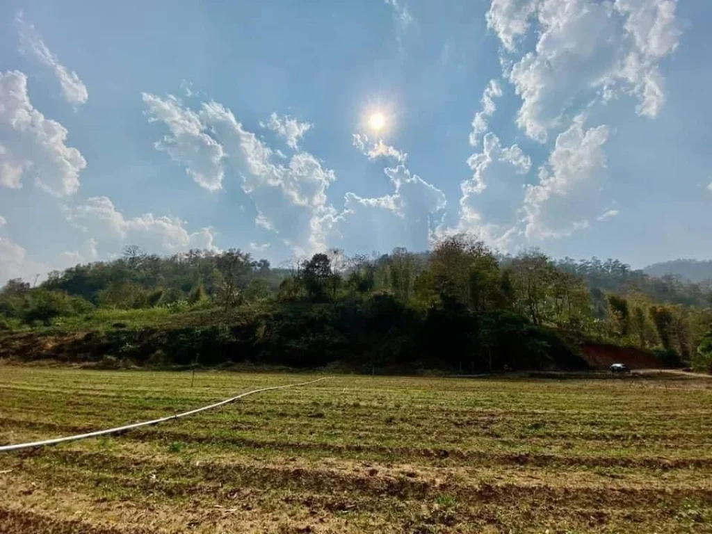 ที่ดินติดลำธาร ธรรมชาติสุดๆ บ้านน้ำริน อสะเมิง จเชียงใหม่