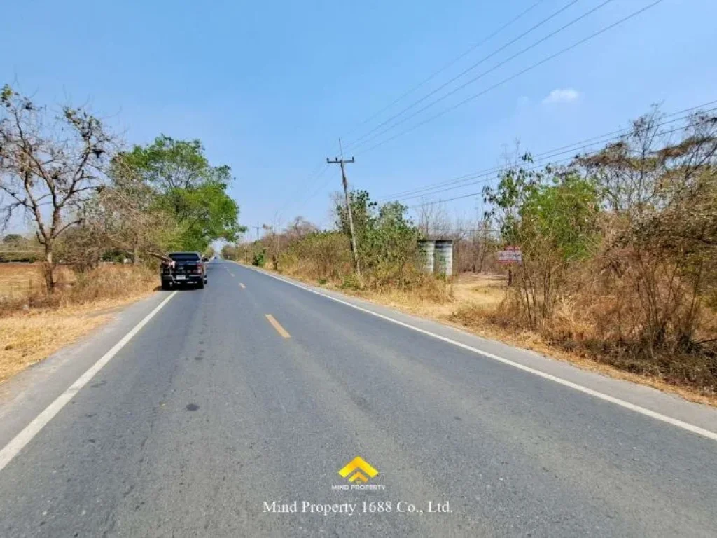 ที่ดินเปล่า แปลงสวย พื้นที่สีเขียว พัฒนานิคม ลพบุรี