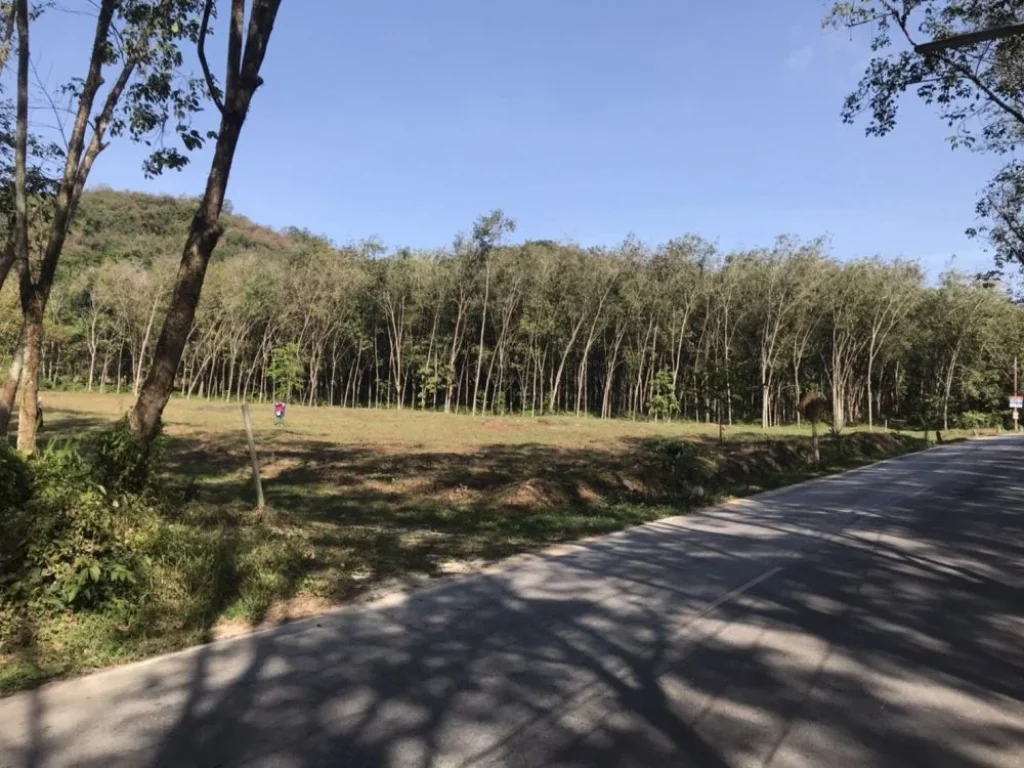 ขายที่ดินสวย วิวภูเขา ตน้ำน้อย ใกล้ทั้งเมืองหาดใหญ่