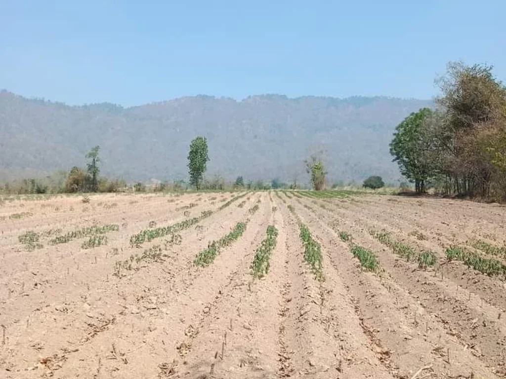 ที่ดินแปลงสวย วิวสวย ติดถนนสายหลัก ราคาถูก อน้ำปาด อุตรดิตถ์