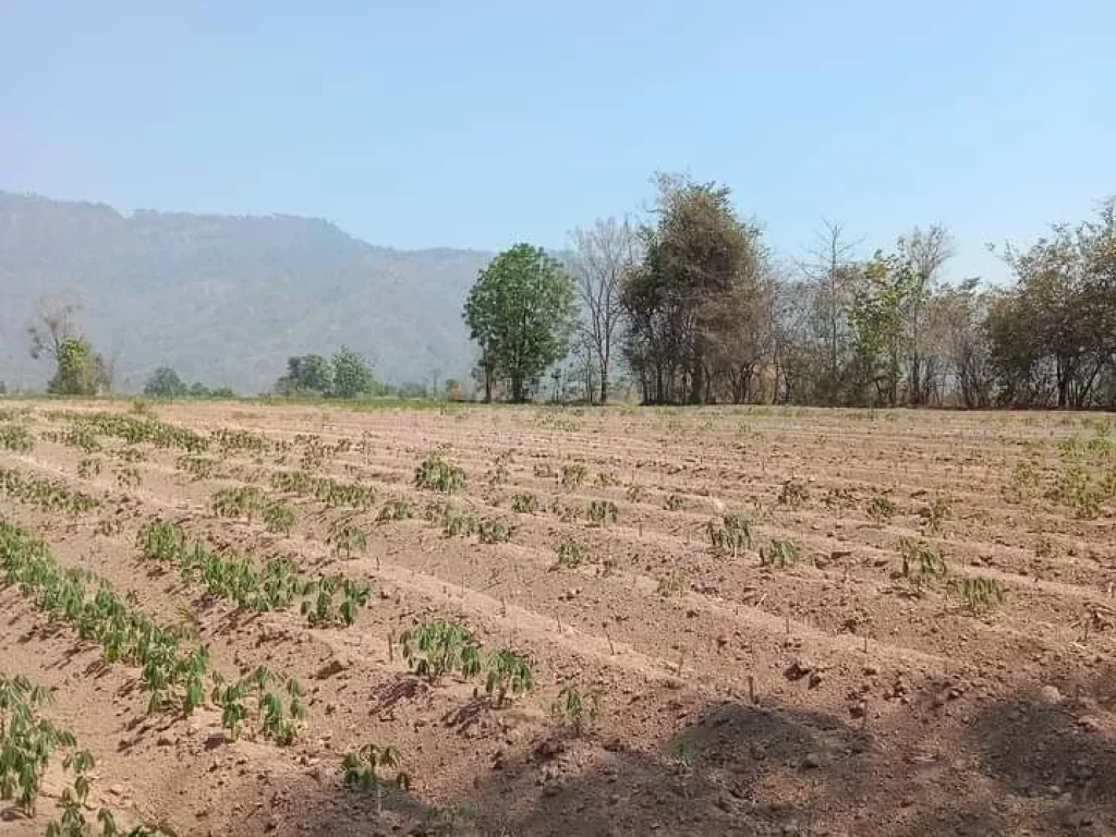 ที่ดินแปลงสวย วิวสวย ติดถนนสายหลัก ราคาถูก อน้ำปาด อุตรดิตถ์