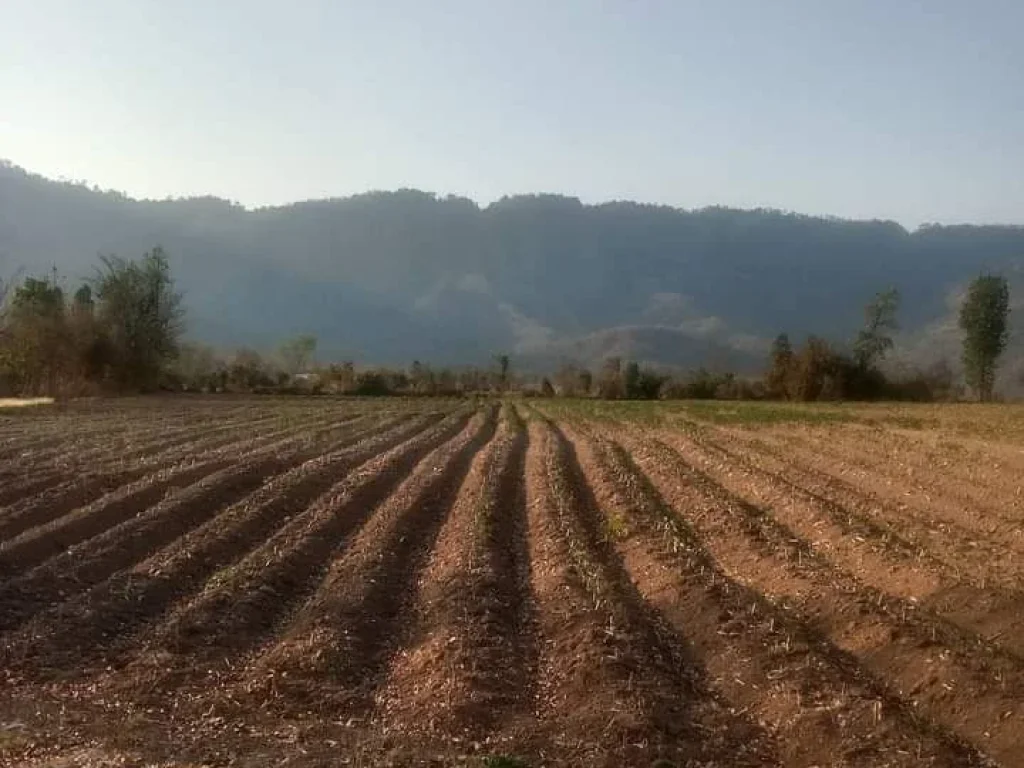 ที่ดินแปลงสวย วิวสวย ติดถนนสายหลัก ราคาถูก อน้ำปาด อุตรดิตถ์