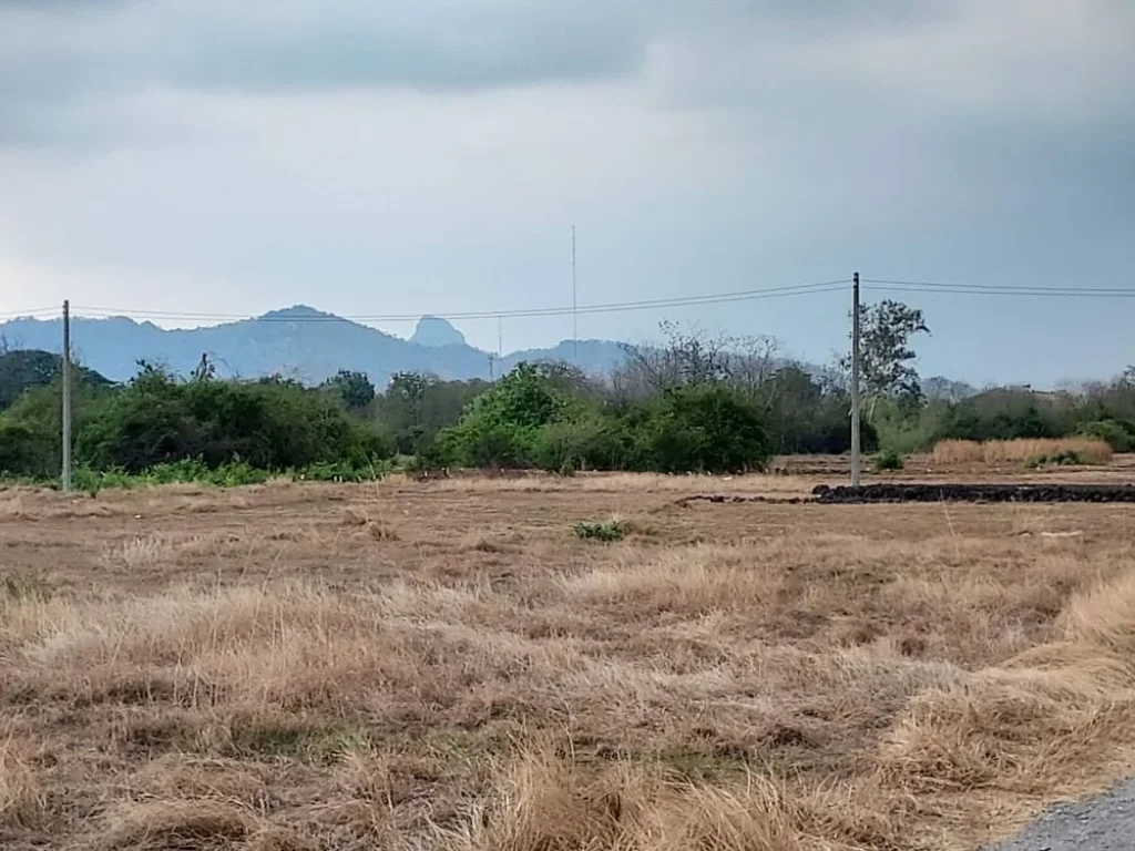 ขายที่ดินแบ่งขาย ที่สวย ถมแล้ว ทำเลดี ในตัวเมืองลพบุรี