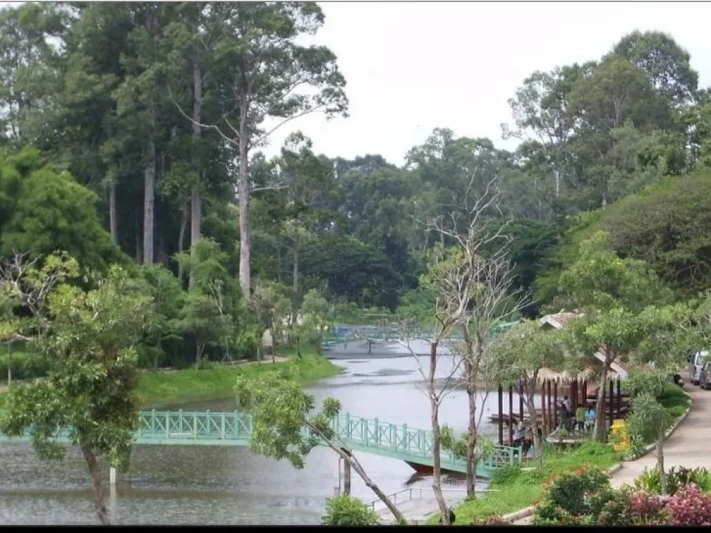 ขายที่ดินติดน้ำ บึงป่าสัก สระบุรี ตลาดน้ำดาวเรือง ไม่ต้องถม