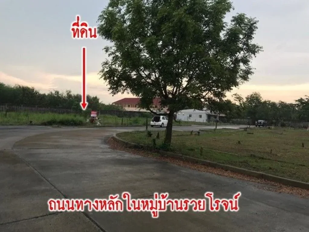 ขายที่ดิน 102 ตรว ในหมู่บ้านรวยโรจน์ ซอยสุขาภิบาล 1 -