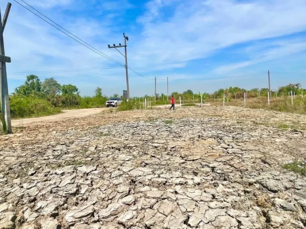 ขายที่ดินบ้านสวนคลอง12 ขนาด 100 ตรวใกล้ตลาดบัวหลวง ใกล้ชุมชน