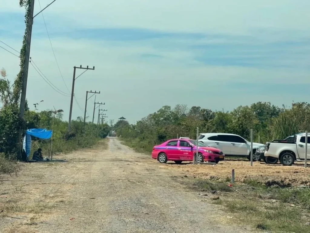 ขายที่ดินบ้านสวนคลอง12 ขนาด 100 ตรวใกล้ตลาดบัวหลวง ใกล้ชุมชน