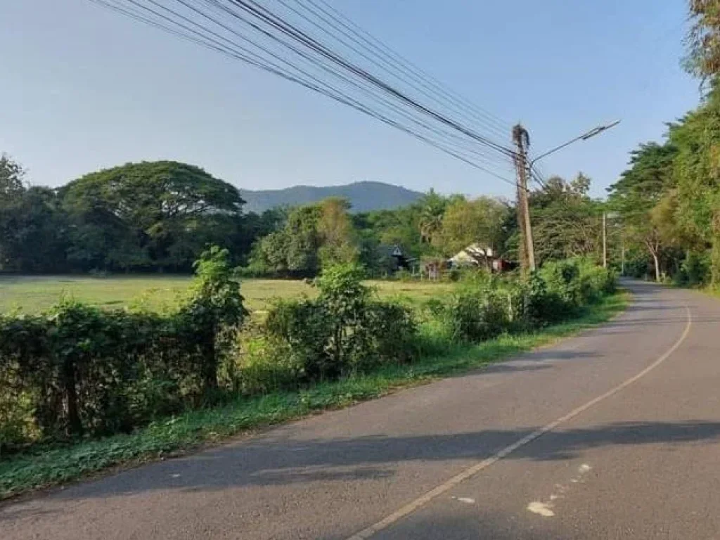 ขายที่ดินติดถนนลาดยางลวงเหนือดอยสะเก็ตติดถนนพร้อมโอน