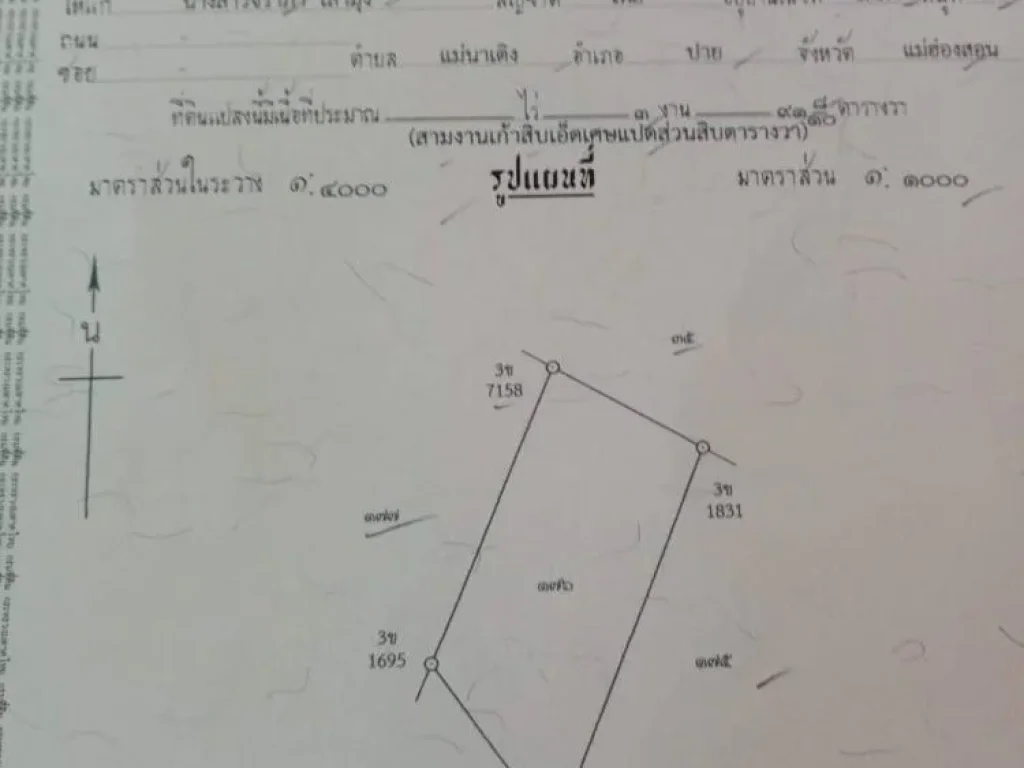 ขายที่ดินโฉนด 1 ไร่ อปาย ตแม่นาเติง อปาย จแม่ฮ่องสอน